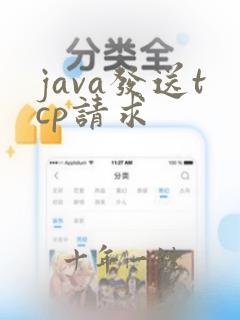 java发送tcp请求