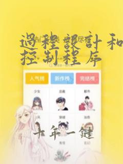 过程设计和开发控制程序