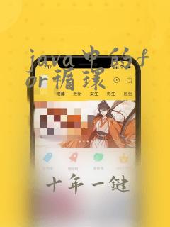 java中的for循环