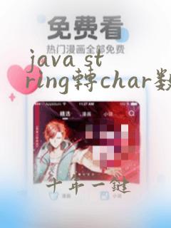 java string转char数组