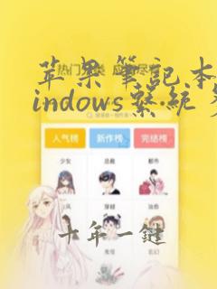 苹果笔记本装windows系统多少钱