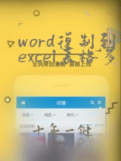 word复制到excel表格多列