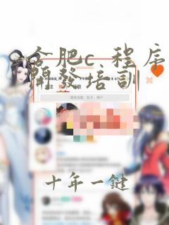 合肥c  程序开发培训