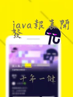 java报表开发