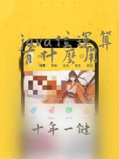 java位运算有什么用