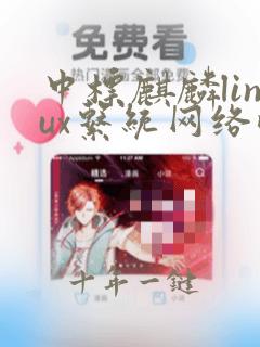 中标麒麟linux系统网络配置