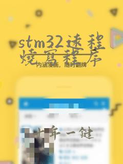 stm32远程烧写程序