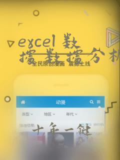 excel 数据 数据分析