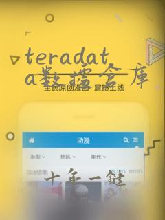 teradata数据仓库