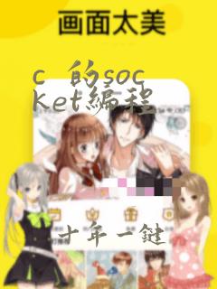 c 的socket编程