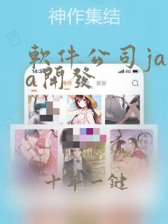 软件公司java开发