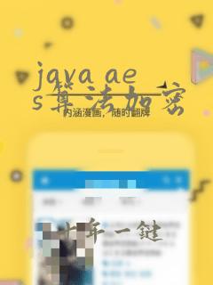 java aes算法加密