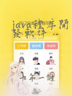 java程序开发软件