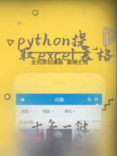 python提取excel表格数据