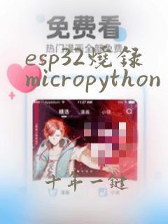 esp32烧录micropython
