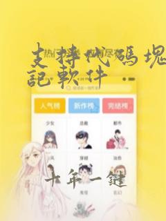 支持代码块的笔记软件