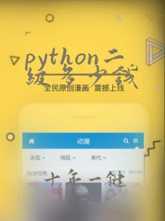 python二级多少钱