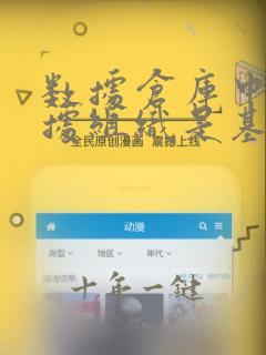 数据仓库中的数据组织是基于什么模型