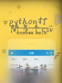 python打开多个csv