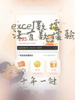 excel数据没有数据验证