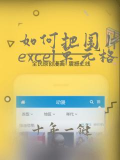 如何把图片嵌入excel单元格内