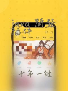 java 开发插件