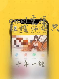 excel重复数据筛选只保留一个数据