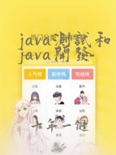 java测试和java开发