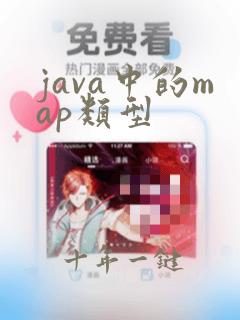 java中的map类型
