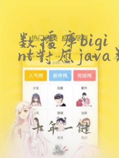 数据库bigint对应java类型