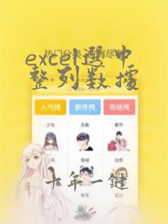 excel选中整列数据