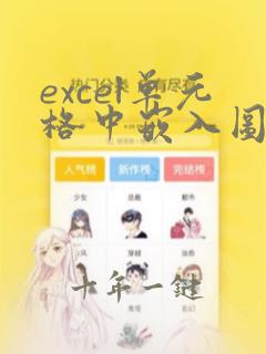 excel单元格中嵌入图片变成代码