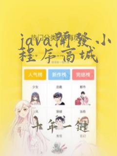 java开发小程序商城