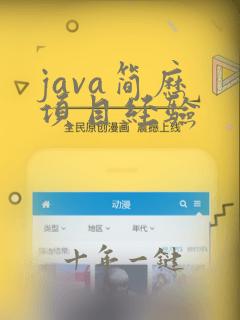 java简历 项目经验