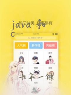 java 和 c