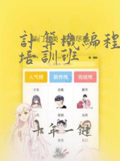计算机编程程序培训班