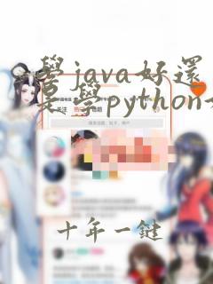 学java好还是学python好