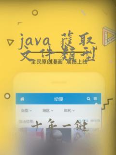 java 获取文件类型