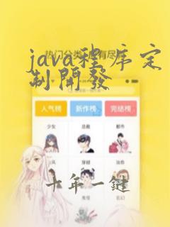 java程序定制开发