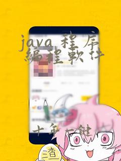 java 程序 编程软件