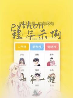 python 程序示例