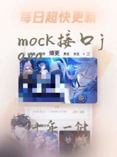 mock接口java