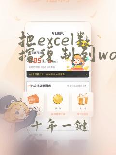 把excel数据复制到word表格