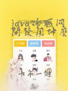java物联网开发用什么框架