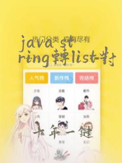 java string转list对象数组