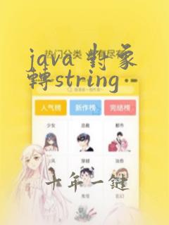 java 对象转string