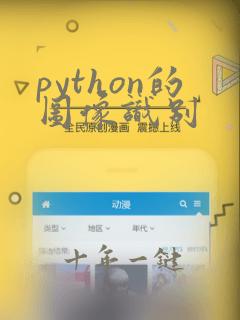 python的图像识别