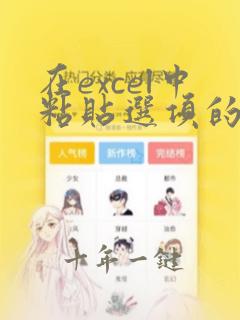 在excel中粘贴选项的快捷键是