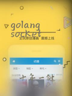 golang socket
