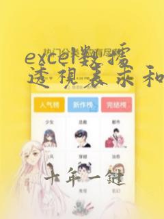 excel数据透视表求和为0